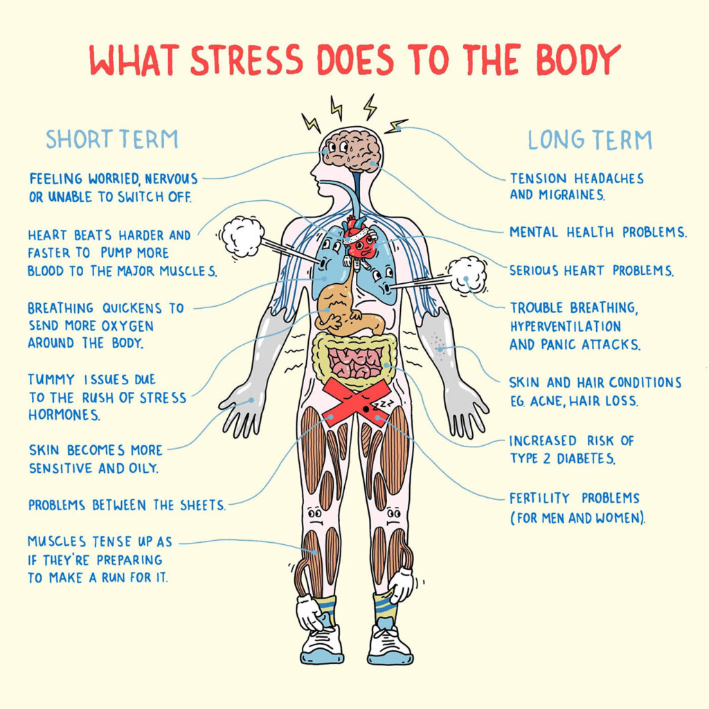 What stress can do to the body 3 What stress can do to the body