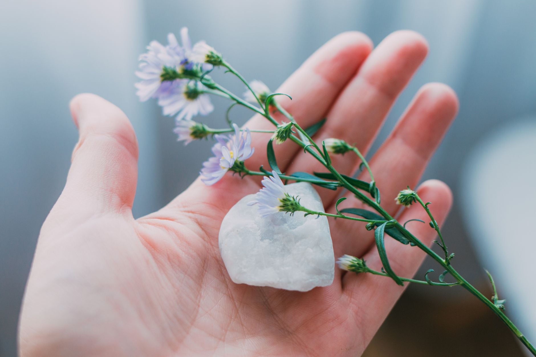 Close-up of clear quartz and purple flowers gently held in a hand, symbolizing beauty and tranquility.