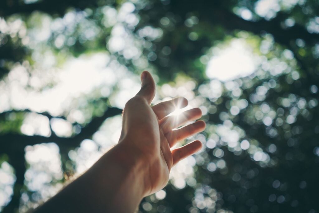 How Can I Cope With Depression-Related Decision Fatigue and Improve Daily Functioning? 2 A hand reaching towards the sky, capturing sunlight in a lush forest setting.